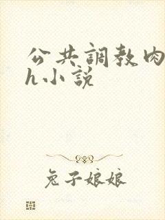 公共调教肉便器h小说