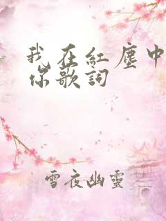 我在红尘中遇到你歌词