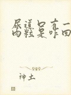 尿道口有一个小肉粒是咋回事