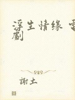 浮生情缘 电视剧