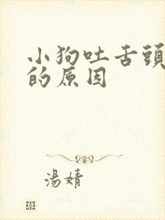 小狗吐舌头散热的原因