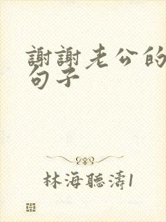 谢谢老公的暖心句子