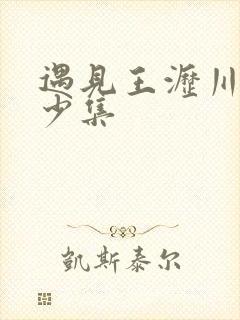 遇见王沥川共多少集