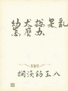 幼犬总是乱拉尿怎么办