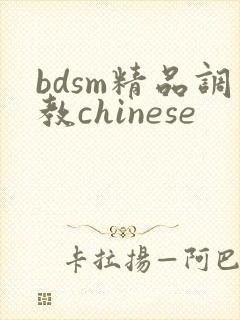 bdsm精品调教chinese