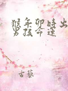 猴年卯时出生的男孩命运