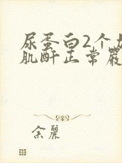 尿蛋白2个加号肌酐正常严重吗