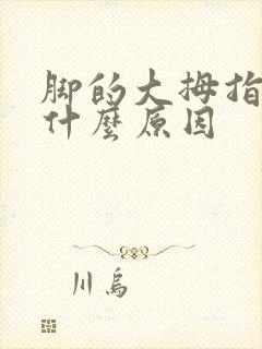 脚的大拇指麻木什么原因