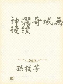 神澜奇域无双珠后续