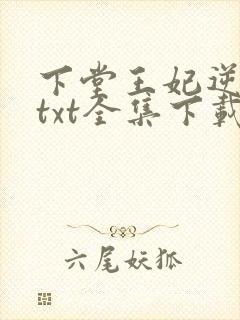 下堂王妃逆袭记txt全集下载