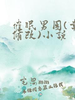 催眠男团(常识修改)小说