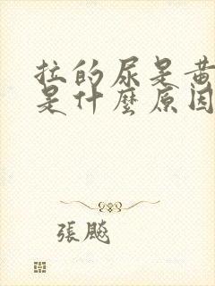 拉的尿是黄色的是什么原因