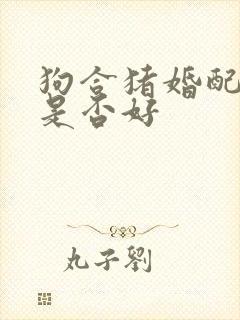 狗合猪婚配姻缘是否好