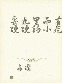 睾丸里面有两个硬硬的小疙瘩