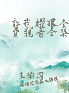 许我耀眼全集免费观看全集