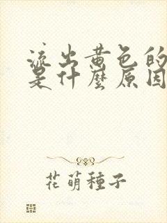 流出黄色的鼻涕是什么原因