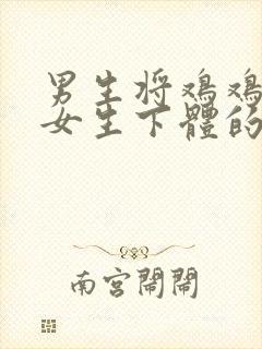 男生将鸡鸡插入女生下体的视频