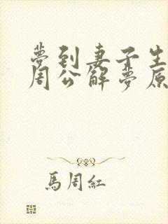 梦到妻子生孩子周公解梦原版