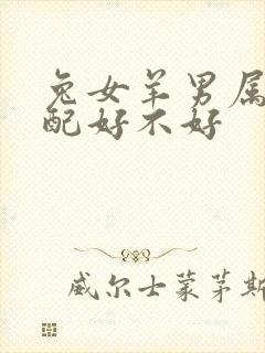 兔女羊男属相婚配好不好