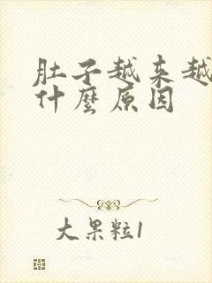 肚子越来越大是什么原因