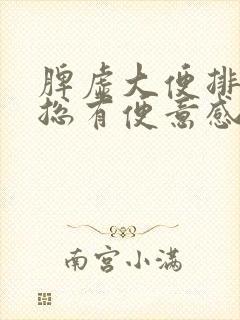 脾虚大便排不尽总有便意感