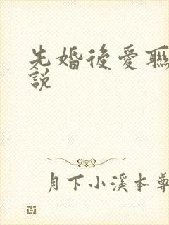 先婚后爱联姻小说