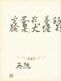 完蛋我养的小白脸是大佬 短剧