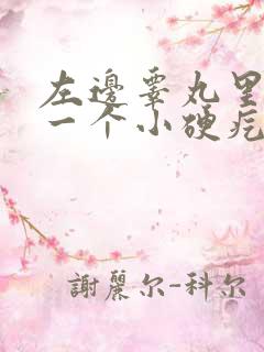 左边睾丸里面有一个小硬疙瘩