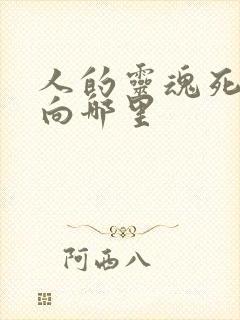 人的灵魂死后去向哪里