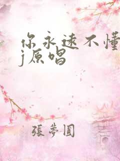 你永远不懂我dj原唱