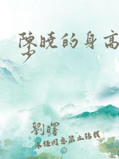 陈晓的身高是多少