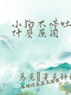 小狗不停吐舌头什么原因