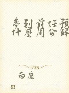 梦到前任预示着什么周公解梦