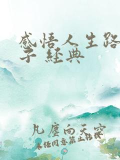 感悟人生路的句子 经典