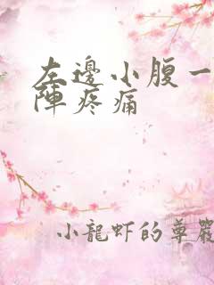 左边小腹一阵一阵疼痛