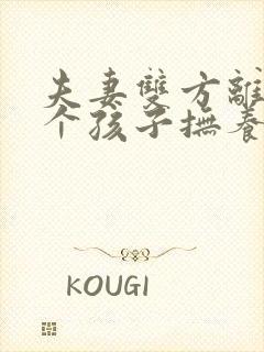 夫妻双方离婚两个孩子抚养权怎么判