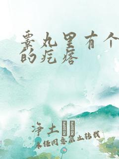 睾丸里有个硬硬的疙瘩