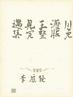 遇见王沥川40集完整版免费