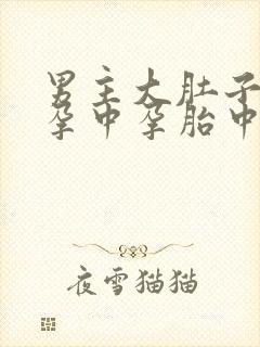 男主大肚子多胎孕中孕胎中胎