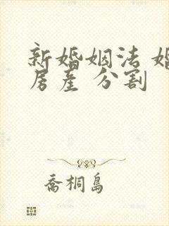 新婚姻法 婚前房产 分割