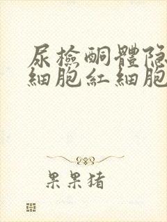 尿检酮体隐血白细胞红细胞高