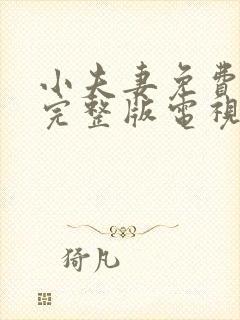 小夫妻免费观看完整版电视剧全集