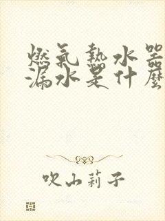 燃气热水器管道漏水是什么原因