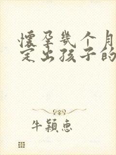 怀孕几个月能鉴定出孩子的父亲