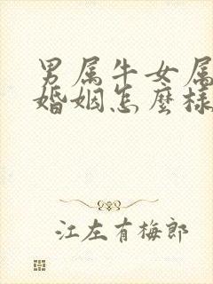 男属牛女属羊的婚姻怎么样