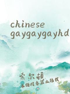 chinesegaygaygayhd