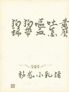 狗狗呕吐黄水拉稀带血怎么回事