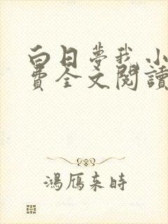 白日梦我小说免费全文阅读无弹窗