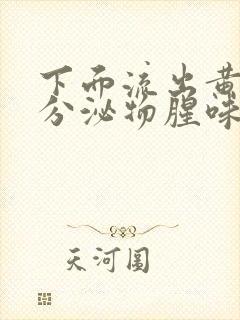 下面流出黄黄的分泌物腥味用什么药