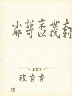 小说末世大回炉哪可以找到